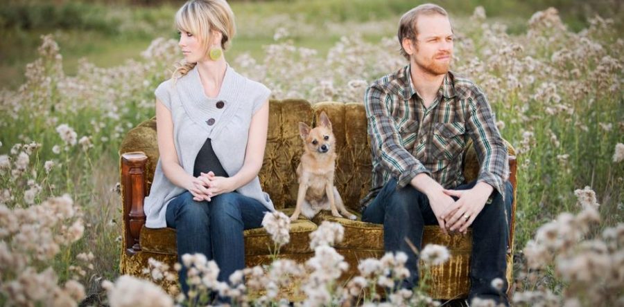 Pets Treated As Children In Divorce Proceedings