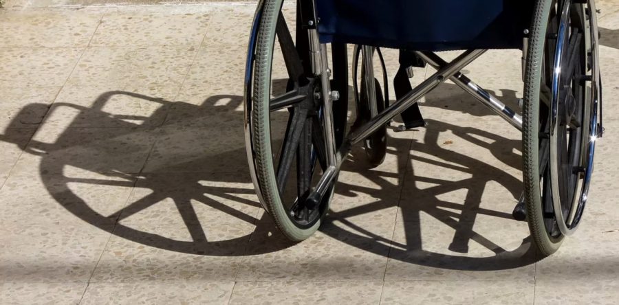 Disabled Parents’ Rights