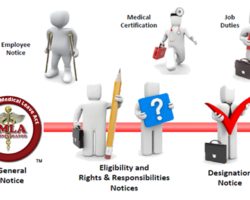 Happy 25th Birthday, FMLA! 25 Years Later – Where Are We Now?