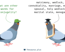 Beyond Beyond Conjugality