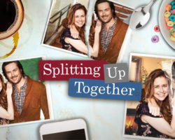 Bird Nesting: Where to Live After Divorce