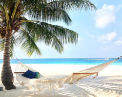 Still on Vacation – Be Back Tuesday