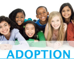Adopting Civil Damages: Wrongful Family Separation in Adoption