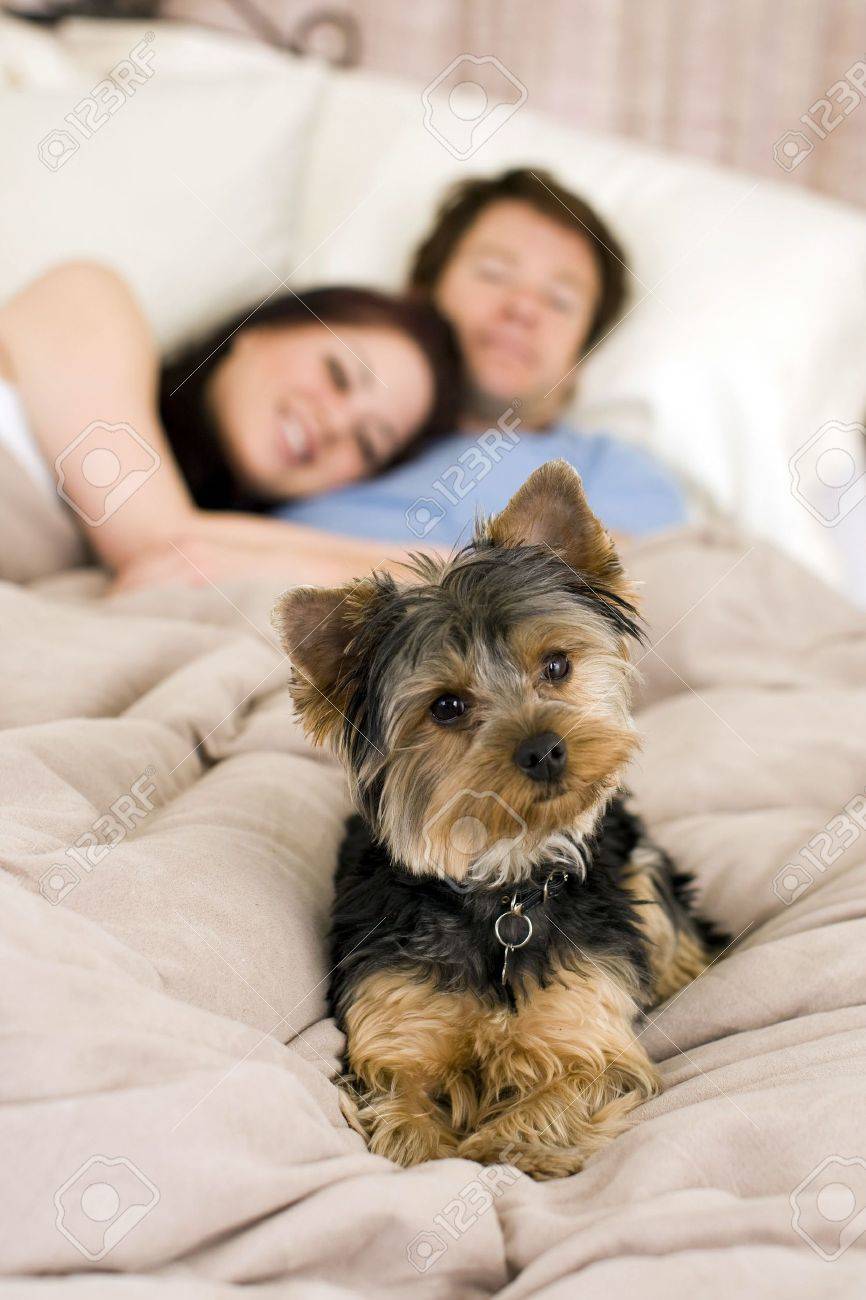 One More Thing to Think About: California Pets with Divorcing Owners Score Legal Win