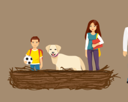 Birdnesting and Timeline on Birdnesting