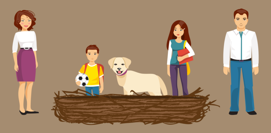 Birdnesting and Timeline on Birdnesting