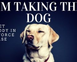 People Divorce – But Who Gets the Pet?