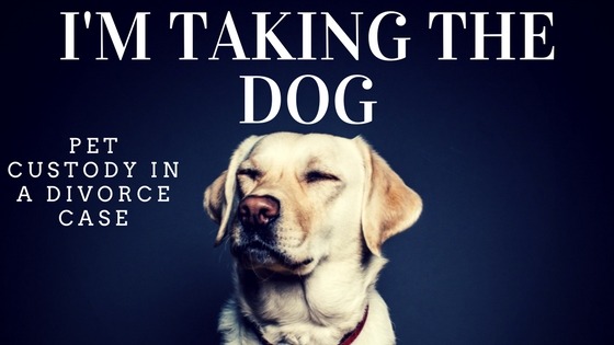Pets and Prenups – Who Gets Rover if the Marriage is Over?