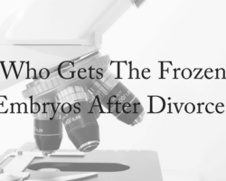 Arizona Law Determines Fate of Frozen Embryos in Divorce