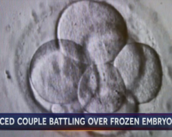 Divorced woman can’t use frozen embryos, Arizona Supreme Court rules