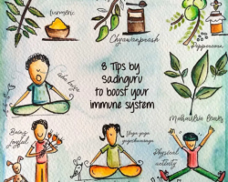 How to Boost Your Immunity