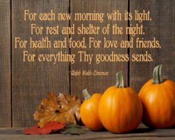 The Current State of Grace – Americans Adapting to a COVID Thanksgiving