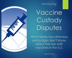 Vaccinations Cause More Concerns in Family Law Disputes