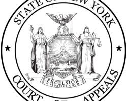 Custody Dependent on Removal of Confederate Flag