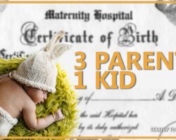 First 3-Parent Birth Certificate In Massachusetts