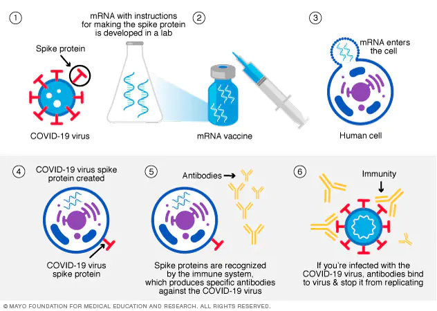How Did We Get Here? Costly Vaccine Mistakes and a Warning for the Future