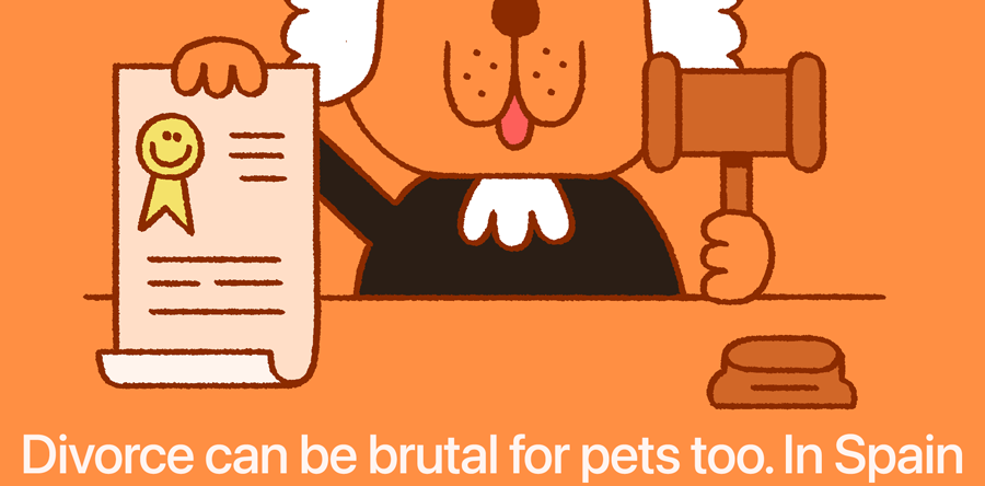 Pets May Become Legal Family Members in Spain