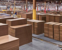 Where Does All That Cardboard (for your Amazon boxes) Come From?