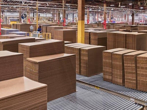 Where Does All That Cardboard (for your Amazon boxes) Come From?