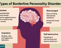 Is Your Client Alleged to Be a Borderline Personality Disorder?