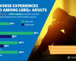 Sexual and Gender Minority Adverse Childhood Experiences Scale