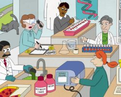 Peer Review and Quality Assurance Under Fire