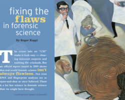 Common Flaws in Forensic Reports and How to Avoid Them