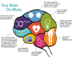 Musical Ability May Help Keep The Brain Healthy