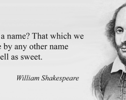 Florida’s Timesharing Presumption Revisited –  Is a Rose by Any Other Name the Same?