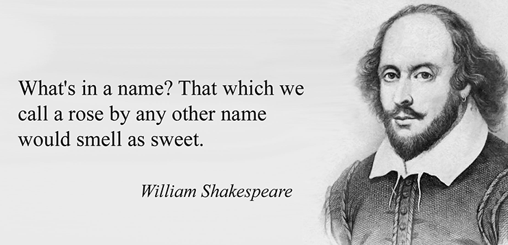 Florida’s Timesharing Presumption Revisited –  Is a Rose by Any Other Name the Same?