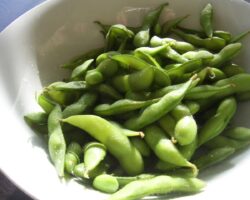 Ritalin Shortage? Maybe it’s Time for Soy?