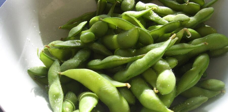 Ritalin Shortage? Maybe it’s Time for Soy?