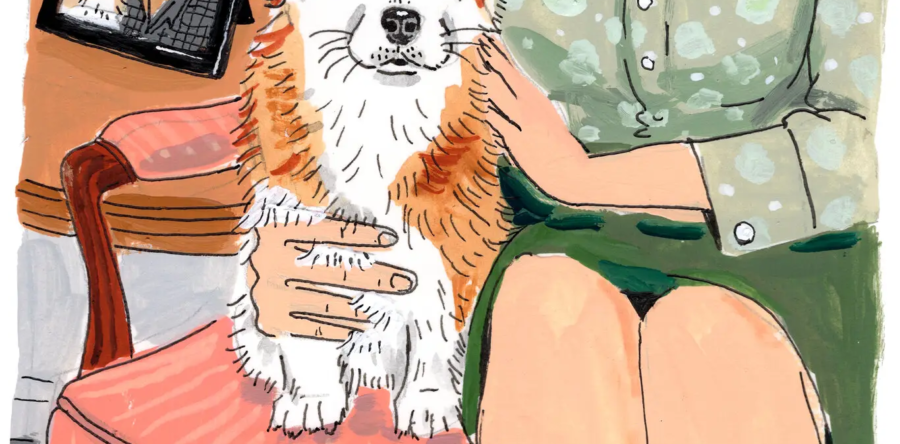 Who Cares for the Dog After the Owner Dies?